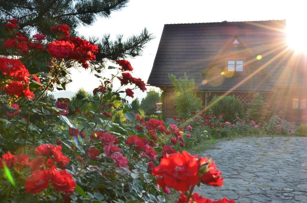 Villa Goralska Ostoja Pcim Exterior foto